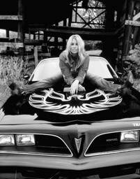 Jill Wachter   917.860.6263 